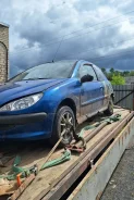 Peugeot 206 ����