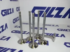 ������ �������� MAN 25249 D2866 25249 ����