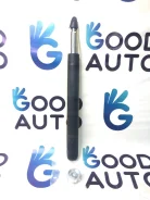�������� ������ V21007, �������� V21007 ����