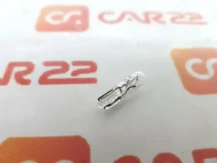 �������� 1584 1584 ����