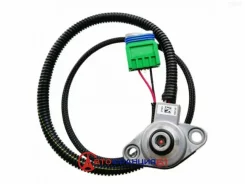 ������ �������� � ���� (�������������������) Patron PE70061 PE70061 ����