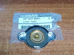 ������ ��������� Nissan Patrol 214307S001 Y62 VK56DE 214307S001 ����