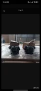 ��� ���� �6�5 4B0941699C ����