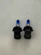 ����� ������� ����