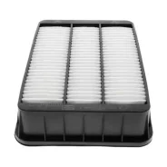 ������ ��������� CAF100881P ����