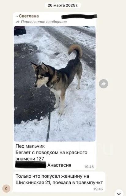 ������. ����