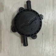 ������� ������. ����