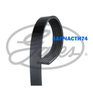 ������ ������������ Gates 6PK1124SF 6PK1124SF ����