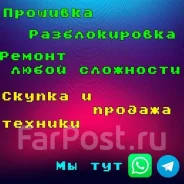 ������������� ���������, ���������. ����