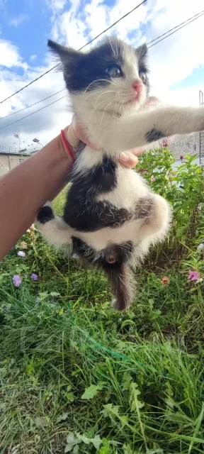 �����. ����