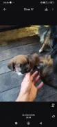 � ������ ���� ����� ����