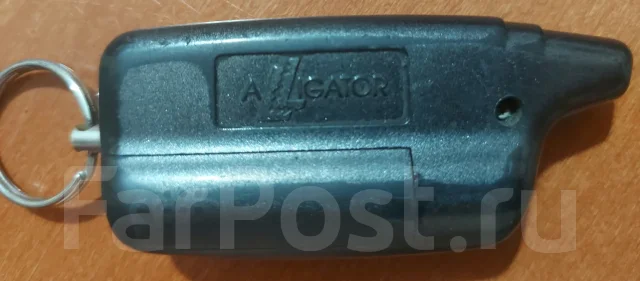 Alligator. ����