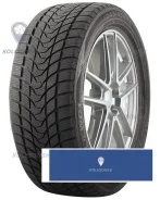 Delinte Winter WD1