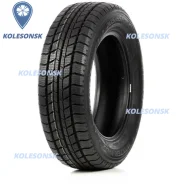 Delinte Winter WD2