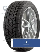 Delinte Winter WD6