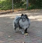 ����. ����