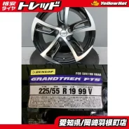 Kyoho Steiner SF-C