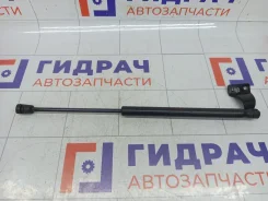 ����������� ������ (�����) ��������� (������) Hyundai Santa Fe 8717026011 8717026011 ����