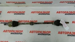 ������� Kia Cerato 2 2009-2013 495001M010 TD, �������� ������ 495001M010 ����