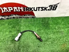 ������ ����������� Toyota Wish 8946568050 ANE10 8946568050 ����
