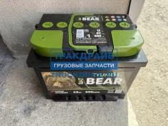 Tyumen BatBear