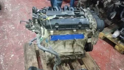 ��������� Ford PNDD 1.6 � PNDD 1471416, 1705065, 1485883, 1214798, 1806559, 1806558, 1485883, 1485983, 1406666, 1366638, 1904845, 1485883, 1806559, 7M...