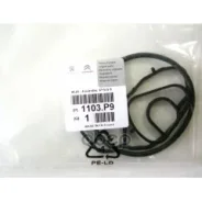 ��������� ��������� ������� Peugeot-Citroen ���. 1103P9 1103P9 ����