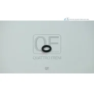 ������ �������������� Quattro Freni QF65A00025 QF65A00025 ����