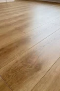 ������� ���������. ����