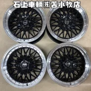 Kyoho Steiner FTX
