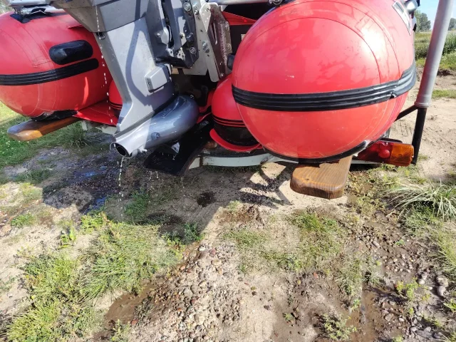 ������. 2021 ���, ����� 4,8��., ��������� ���������, 60��.�., ������ ����