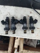 �������� ����