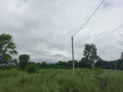 ������ �������. 10����., �������������, �������������. ���� ������� ����