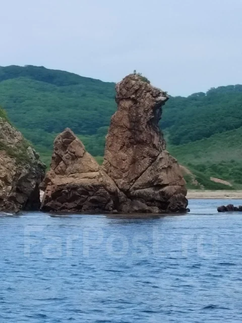 �����. ������� �����. ���� ����� ����