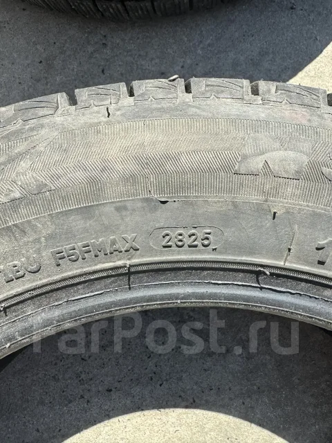 Nereus. ������, ��� �����, 2025 ���, �/�, ����� �� 5 % ����
