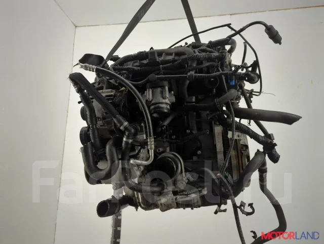 ��������� (���) Ford C-Max 2010-2015 21429728 1824944 ����