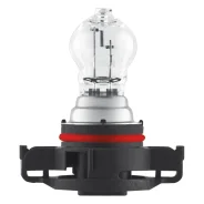 ����� ����������� PSX24W PG20/7 12V 24W 3200 1 ��. Osram 2504 2504 ����