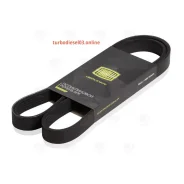 ������ ������������ Trialli 6PK1200 6PK1200 ����