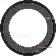 ������� ����������� ���� Victor Reinz 813431600 813431600 ����