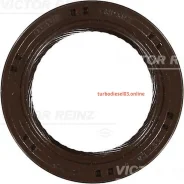 ������� ������������������ ���� Victor Reinz 815324600 815324600 ����