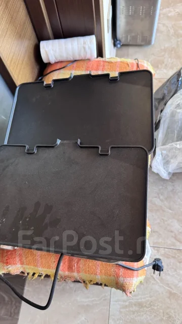 �����. ����