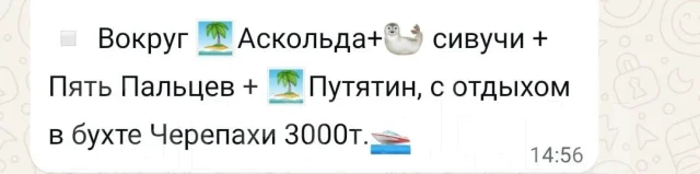 �����. ������� �����. ���� ����� ����