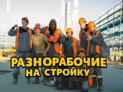������������. �� �������. ����� �������� 88 ����