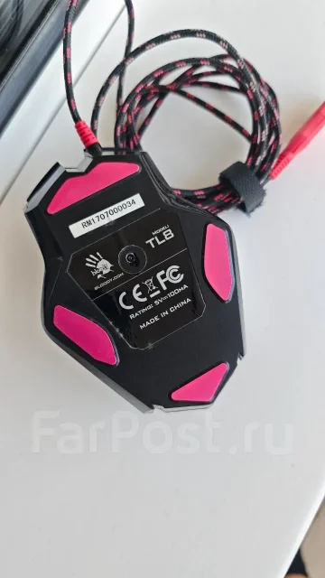 ���� �������. ����