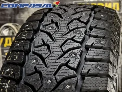 Compasal Winter Stud. ������, ����������, 2026 ���, ����� ����