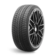 Nexen Winguard Ice Plus