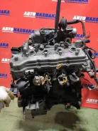 ��������� Nissan Sunny 1998-2004 101028N250 FB15 QG15DE [481013] 101028N250 ����