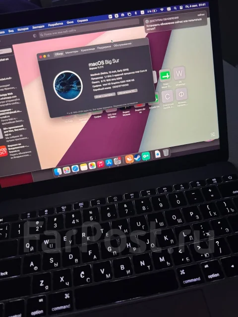 Apple MacBook 12. 12", 1,1����, ��� 8 ��, ���� 250���, WiFi: 1, Bluetooth: 1, ����������� �� 9��. ����