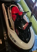 BRP Sea-Doo Wake. 2008 ��� ����