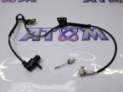 ������ ABS Toyota Avensis 03-08 8954202040 AZT250, �������� ������ 8954202040 ����